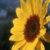 Thomas3's picture
